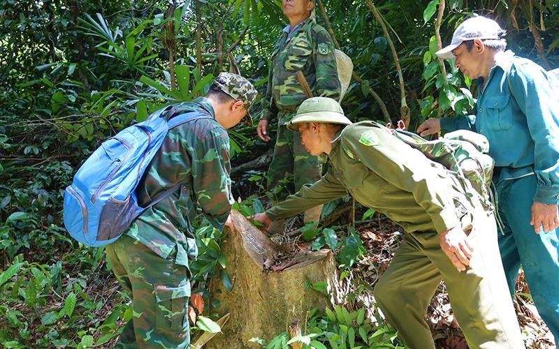 Tạo động lực giúp người dân giữ rừng