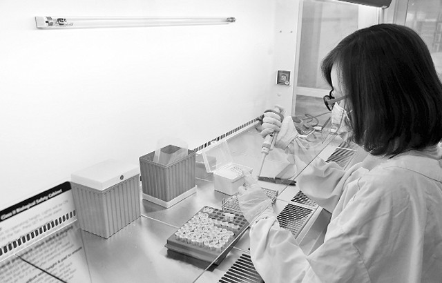 Xét nghiệm bằng kỹ thuật phân tử tại Trung tâm chẩn đoán - xét nghiệm bệnh động vật thuộc Cơ quan Thú y vùng 6 tại TP Hồ Chí Minh.