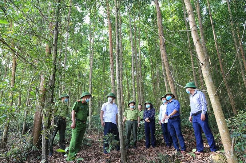 Lãnh đạo huyện Thạch Hà (Hà Tĩnh) kiểm tra công tác phòng, chống cháy rừng trong điều kiện nắng nóng gay gắt.