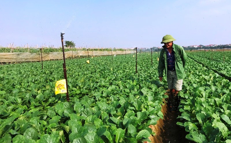 Dự án Thực phẩm nông nghiệp an toàn Việt Nam được thực hiện trong thời gian dự kiến từ năm 2022 đến năm 2027 với tổng vốn dự kiến khoảng 343,48 triệu USD.