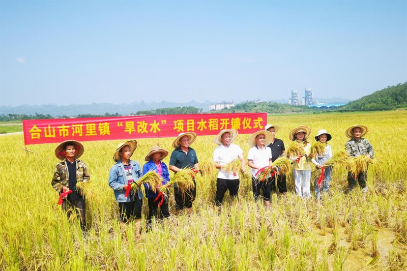 Thu hoạch lúa ở Hợp Sơn, Quảng Tây, Trung Quốc. (Ảnh: Tân Hoa Xã)