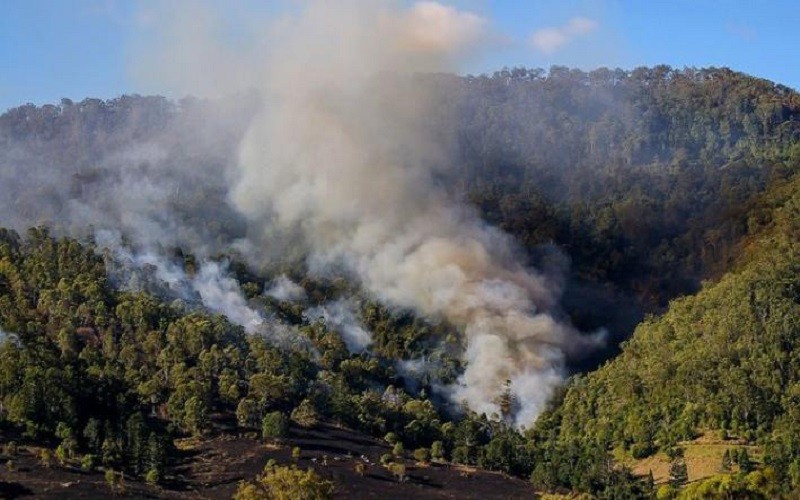 Cháy rừng và biến đổi khí hậu có mối tương quan chặt chẽ với nhau. (Ảnh: UNEP)
