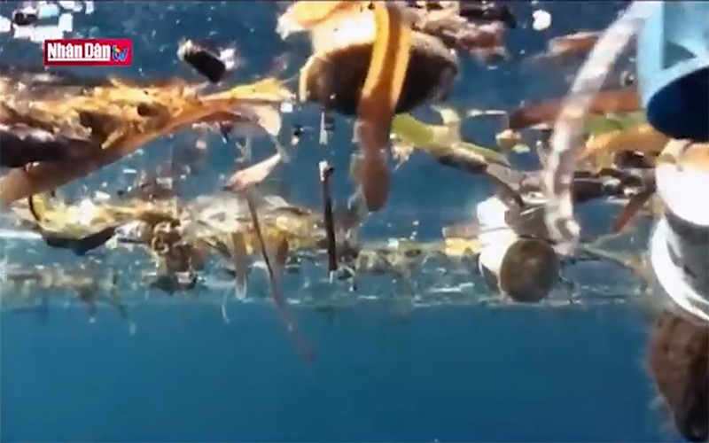 Nhiều khu vực biển vượt ngưỡng nguy hiểm về nồng độ vi nhựa
