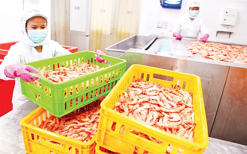 Công nhân Công ty cổ phần kinh doanh Thủy, hải sản Sài Gòn APT thực hiện các đơn hàng xuất khẩu. (Ảnh: Phương Vy)