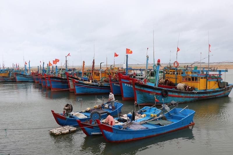 Tàu, thuyền ngư dân thành phố Tuy Hòa neo đậu an toàn tại kè Bạch Đằng, đề phòng thời tiết diễn biến phức tạp trên biển.