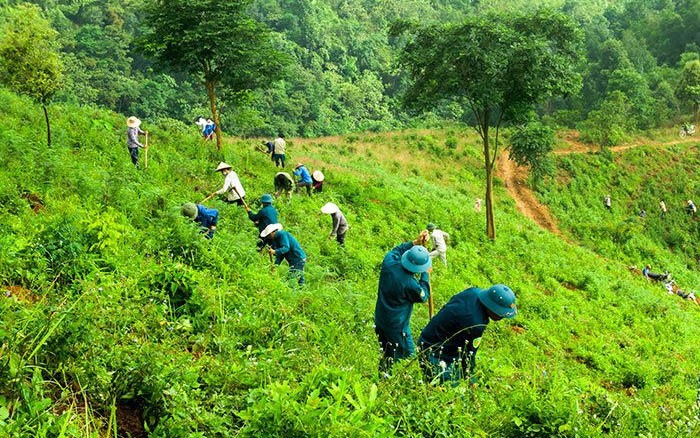 Người dân xã Búng Lao (huyện Mường Ảng) trồng rừng phòng hộ. Ảnh: baotainguyenmoitruong.vn
