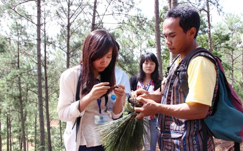Du khách trải nghiệm tour du lịch qua những cánh rừng tại Lâm Đồng.