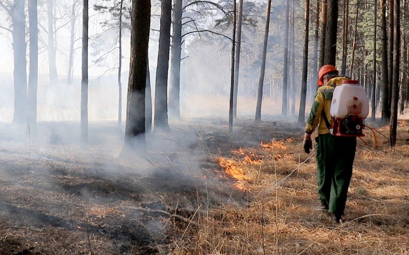 Cháy rừng ở Krasnoyarsk. (Ảnh: TASS)