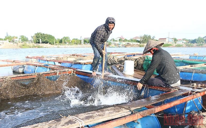 Với 500 ha diện tích nuôi trồng thủy sản, thành phố Hà Tĩnh xác định đây là nguồn lực chính để phát triển nông nghiệp đô thị.