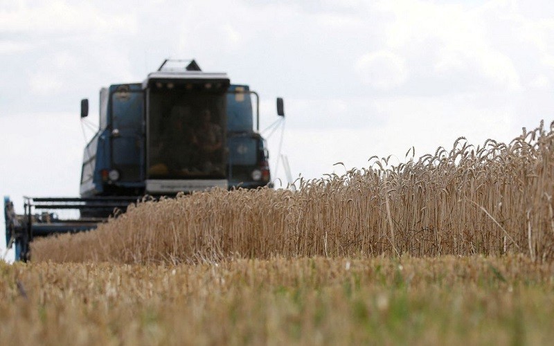 Thu hoạch lúa mì ở tỉnh Kiev, Ukraine. (Ảnh: Reuters)