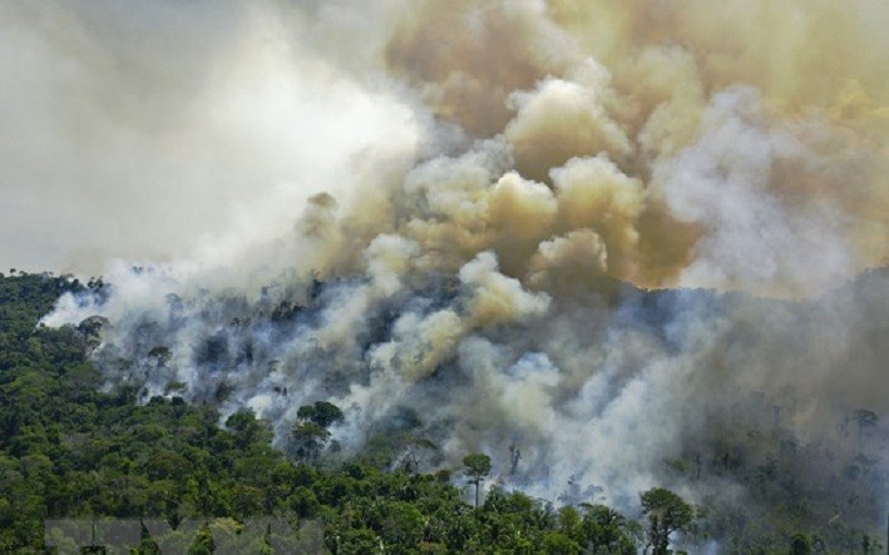 Khói bốc lên từ đám cháy rừng Amazon, Brazil. (Ảnh: AFP/TTXVN)