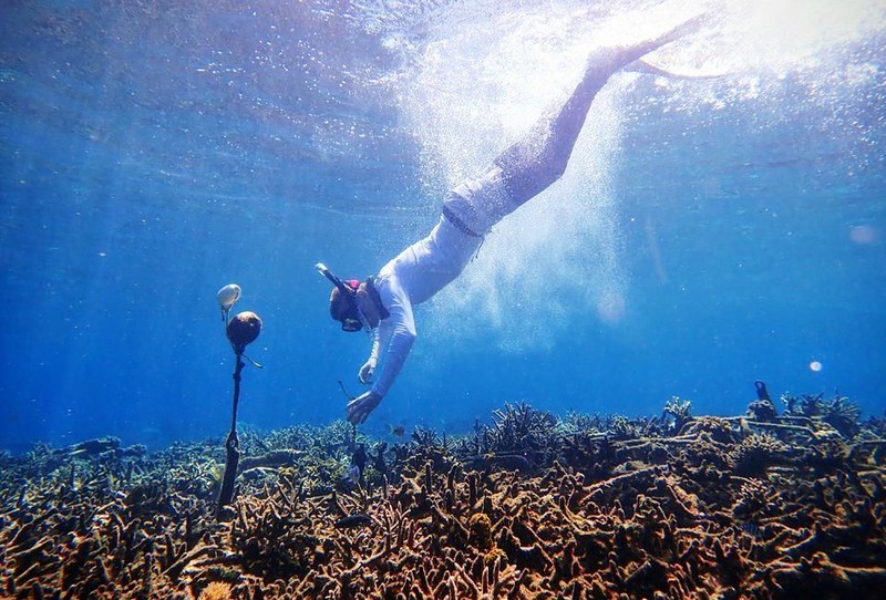 Một nhà nghiên cứu lắp đặt đầu thu sóng trong nước (hydrophone) ở biển thuộc quần đảo Spermonde, Indonesia. Ảnh: Tim Lamont, Đại học Exeter, Anh.