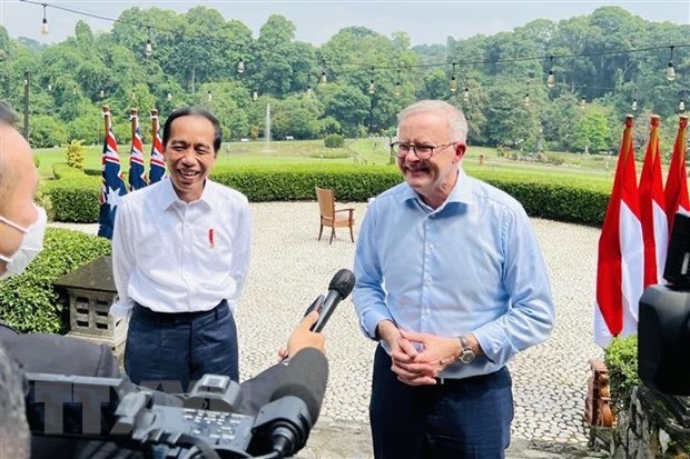 Tổng thống Indonesia Joko Widodo (trái) và Thủ tướng Australia Anthony Albanese (phải) phát biểu với báo giới tại Bogor, Tây Java, ngày 6/6/2022. (Ảnh: AFP/TTXVN)