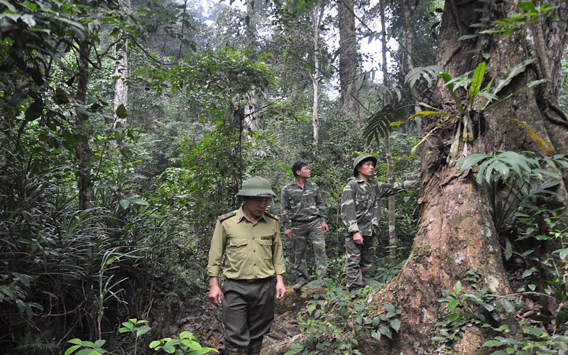 Lực lượng kiểm lâm tỉnh Tuyên Quang tăng cường tuần tra, bảo vệ rừng.