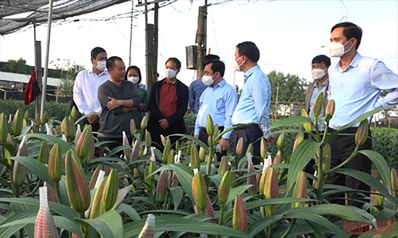 Lãnh đạo huyện Thạch Thất đi thăm mô hình sản xuất.