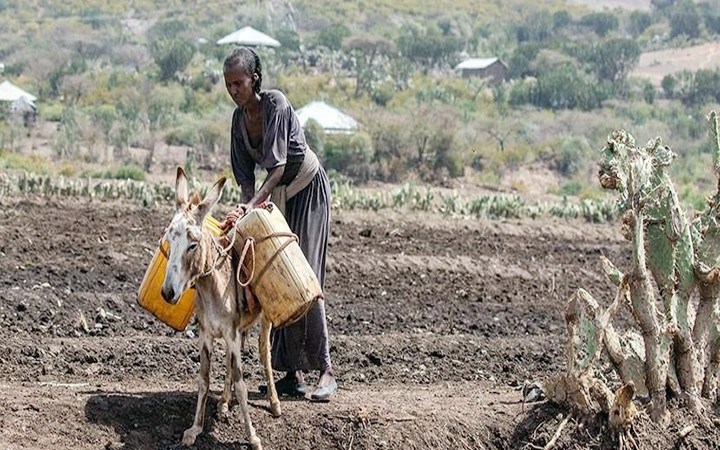 Tình trạng thiếu nước nghiêm trọng ở Ethiopia. (Ảnh SMART WATER MAGAZINE)