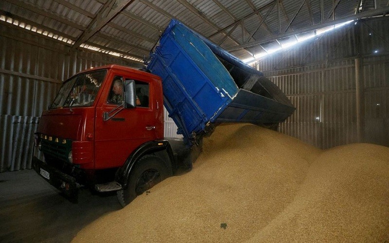 Lưu trữ lúa mạch sau thu hoạch ở Zhovtneve, Ukraine. (Ảnh: REUTERS)
