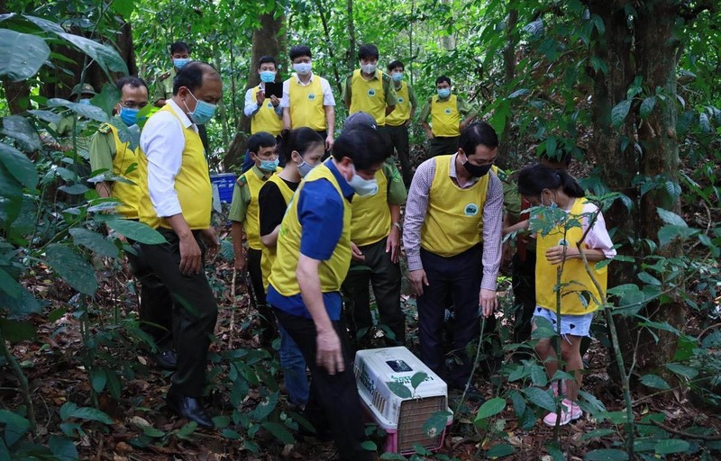 Vườn quốc gia Cúc Phương (Ninh Bình) tổ chức cho khách du lịch tham gia thả động vật hoang dã về rừng.