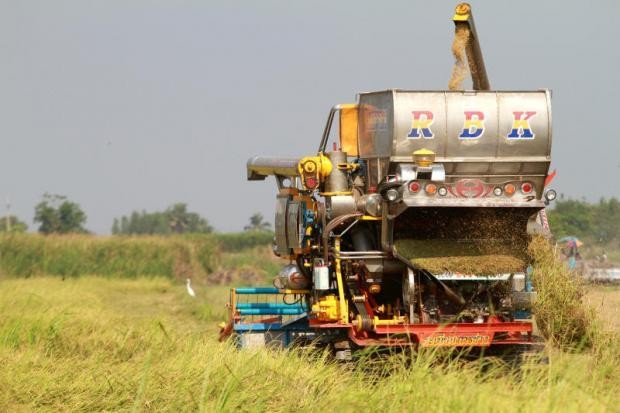 Nông dân sử dụng máy gặt liên hợp tại một cánh đồng ở tỉnh Suphan Buri, Thái Lan. (Ảnh: Bưu điện Bangkok)