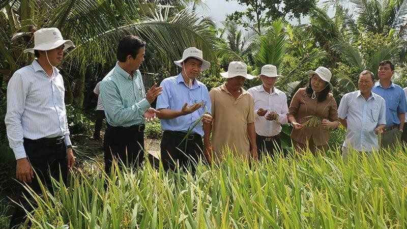 Ông Phạm Thiện Nghĩa (thứ 3 từ trái qua) và bà Trần Thị Quý thăm cánh đồng của nông dân Trịnh Văn Hiển.