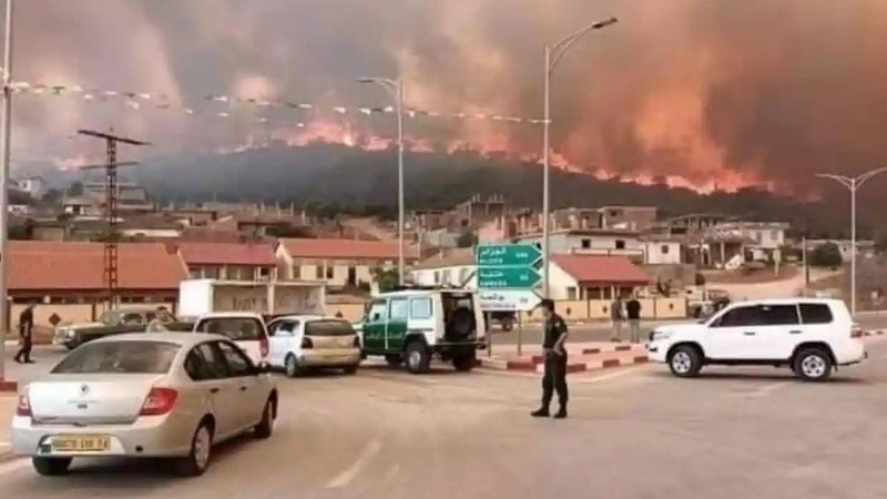 Đám cháy trên núi Mount Al-Karkour ở ngoại ô thành phố El Tarf. (Nguồn: Twitter/The Guardian)