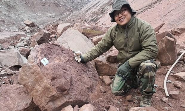 Nhà khảo cổ học Xing Lida bên cạnh dấu chân hóa thạch của khủng long. (Ảnh: globaltimes.com)