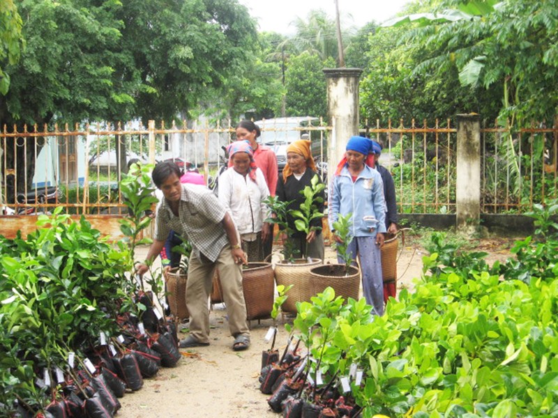 Huyện Bác Ái, tỉnh Ninh Thuận tổ chức phân cây giống cho đồng bào Raglai trồng rừng và nhận khoán bảo vệ rừng. 