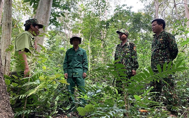 Cán bộ kiểm lâm Khu Bảo tồn thiên nhiên Ea Sô, huyện Ea Kar, tỉnh Ðắk Lắk tuần tra bảo vệ rừng. 