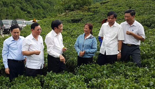 Chủ tịch nước Trương Tấn Sang với xã viên HTX chè La Bằng.