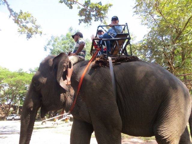 Khách du lịch đến tham quan và cưỡi voi tại khu du lịch sinh thái Buôn Đôn, tỉnh Đác Lắc.