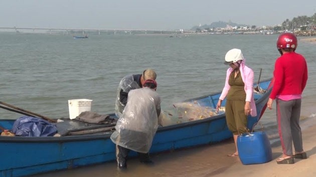 Cá được thương lái mua ngay tại cảng cá phường 6, TP Tuy Hòa khi các ghe, sõng câu của ngư cập bến.