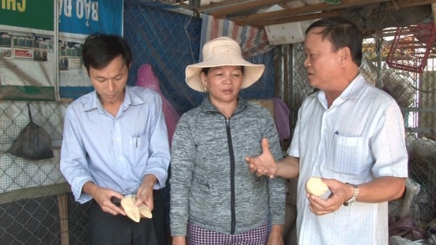 Phát hiện măng tươi có chất vàng ô bán tại các chợ ở Quảng Nam 