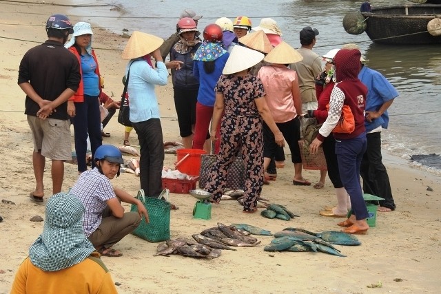 Hỗ trợ khẩn cấp cho người dân bị ảnh hưởng do hiện tượng hải sản chết bất thường