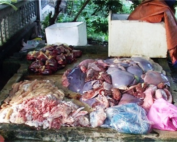 Số nội tạng trâu bò phát hiện tại nhà ông Đỗ Văn Tư.