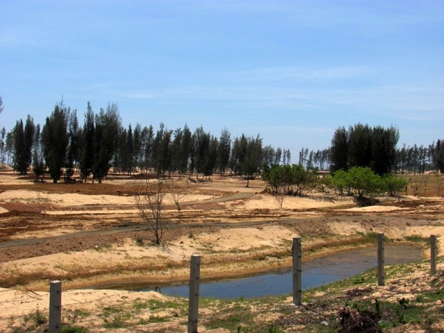 Rừng phòng hộ tại xã An Phú, TP Tuy Hòa (Phú Yên) đã bị chặt phá để phục vụ Khu du lịch New City Việt Nam.